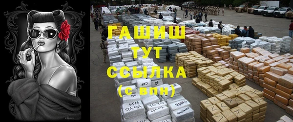 apvp Алексин