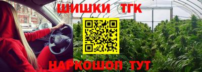эйфоретик Можга